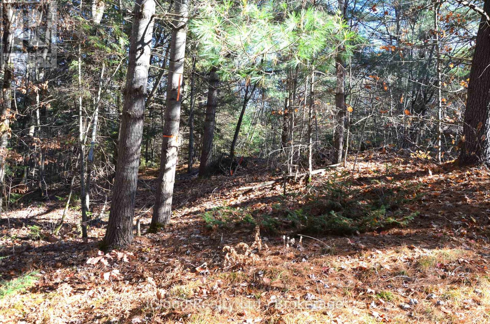 3 Parker Bay Road, Whitestone, Ontario  P0G 1G0 - Photo 25 - X12913728