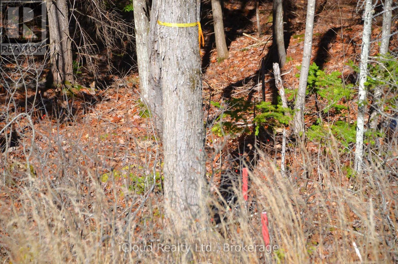 3 Parker Bay Road, Whitestone, Ontario  P0G 1G0 - Photo 12 - X12913728