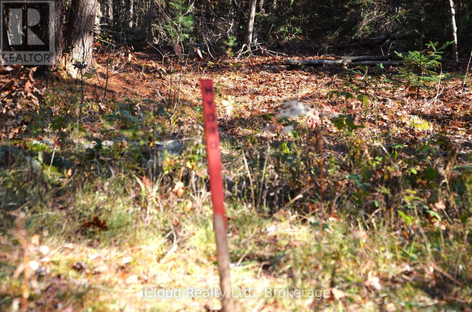 3 Parker Bay Road, Whitestone, Ontario  P0G 1G0 - Photo 28 - X12913728