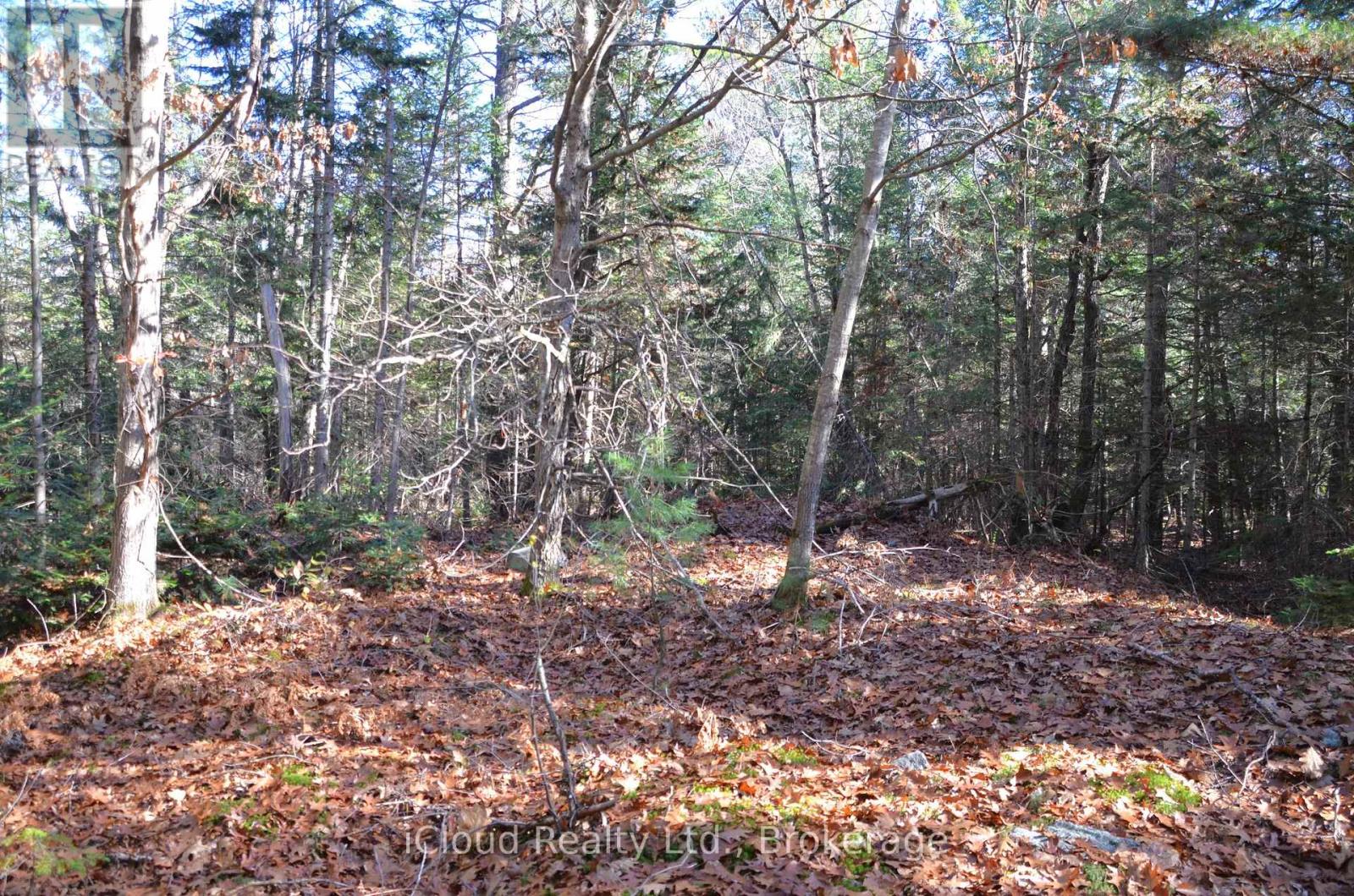 3 Parker Bay Road, Whitestone, Ontario  P0G 1G0 - Photo 5 - X12913728