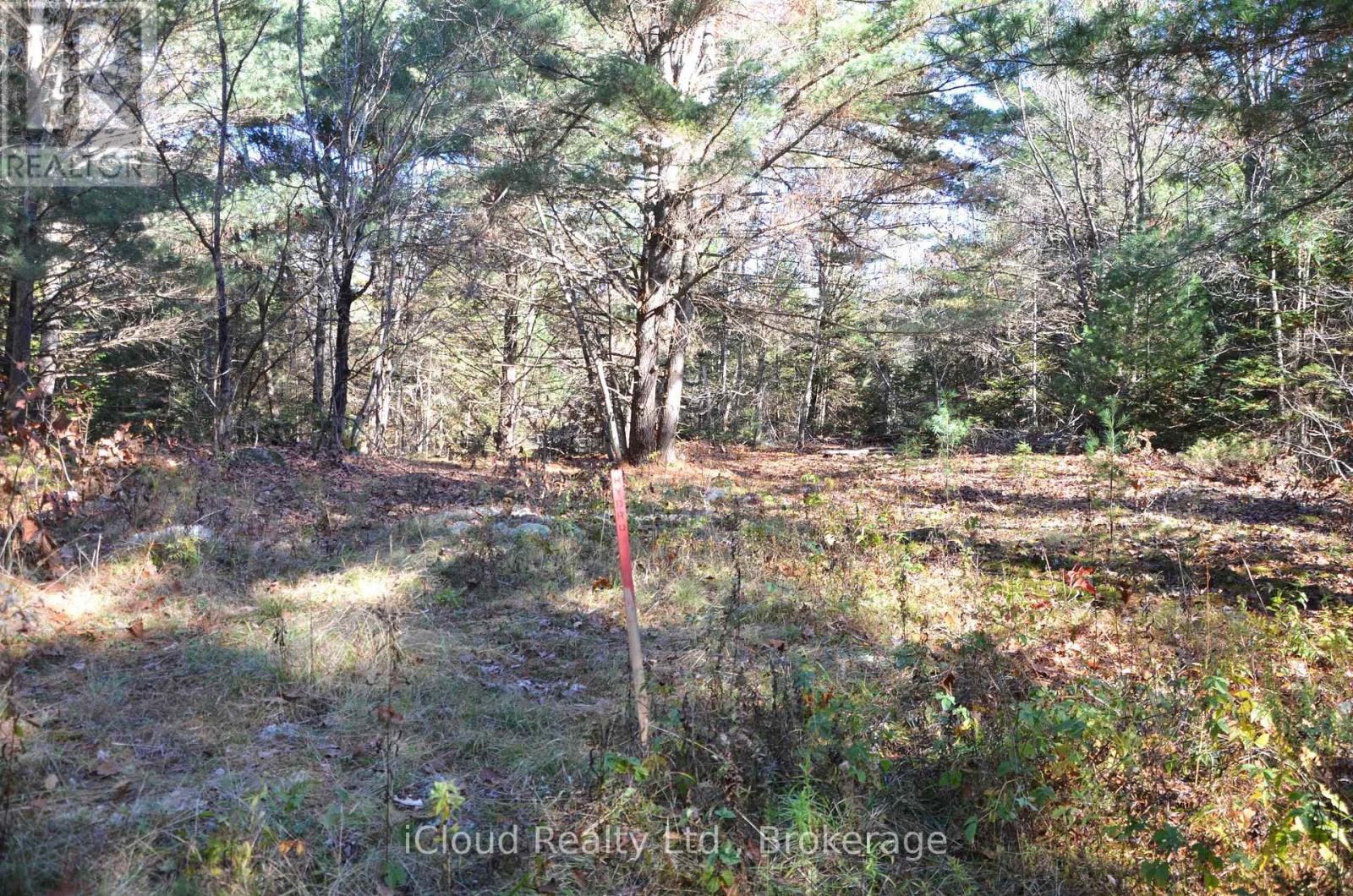 3 Parker Bay Road, Whitestone, Ontario  P0G 1G0 - Photo 3 - X12913728