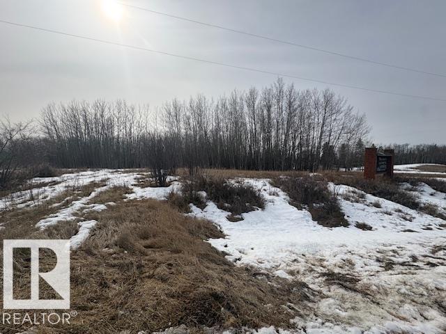 #14 1319 Twp Road 510, Rural Parkland County, Alberta  T7Y 2N2 - Photo 3 - E4478877