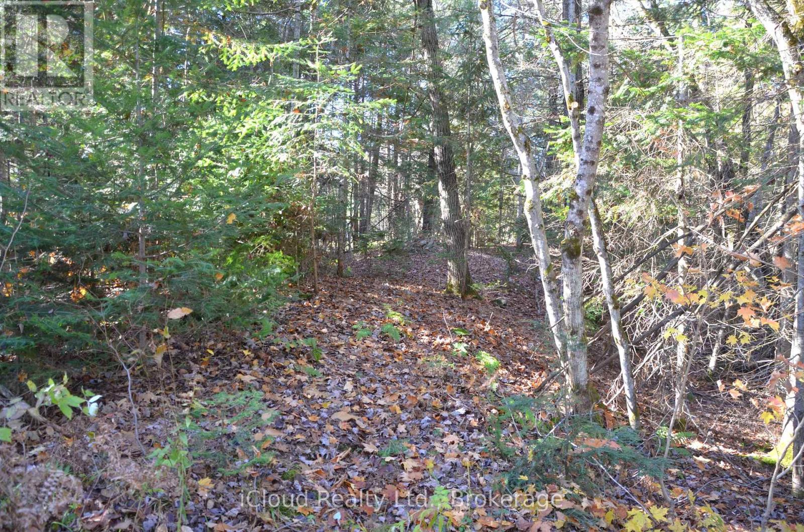 3 And 2 Parker Bay Road, Whitestone, Ontario  P0G 1G0 - Photo 10 - X12913734