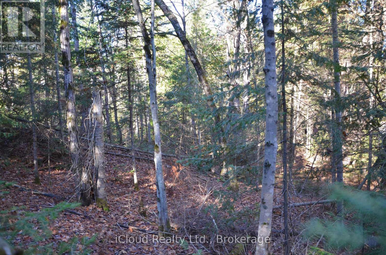 3 And 2 Parker Bay Road, Whitestone, Ontario  P0G 1G0 - Photo 11 - X12913734