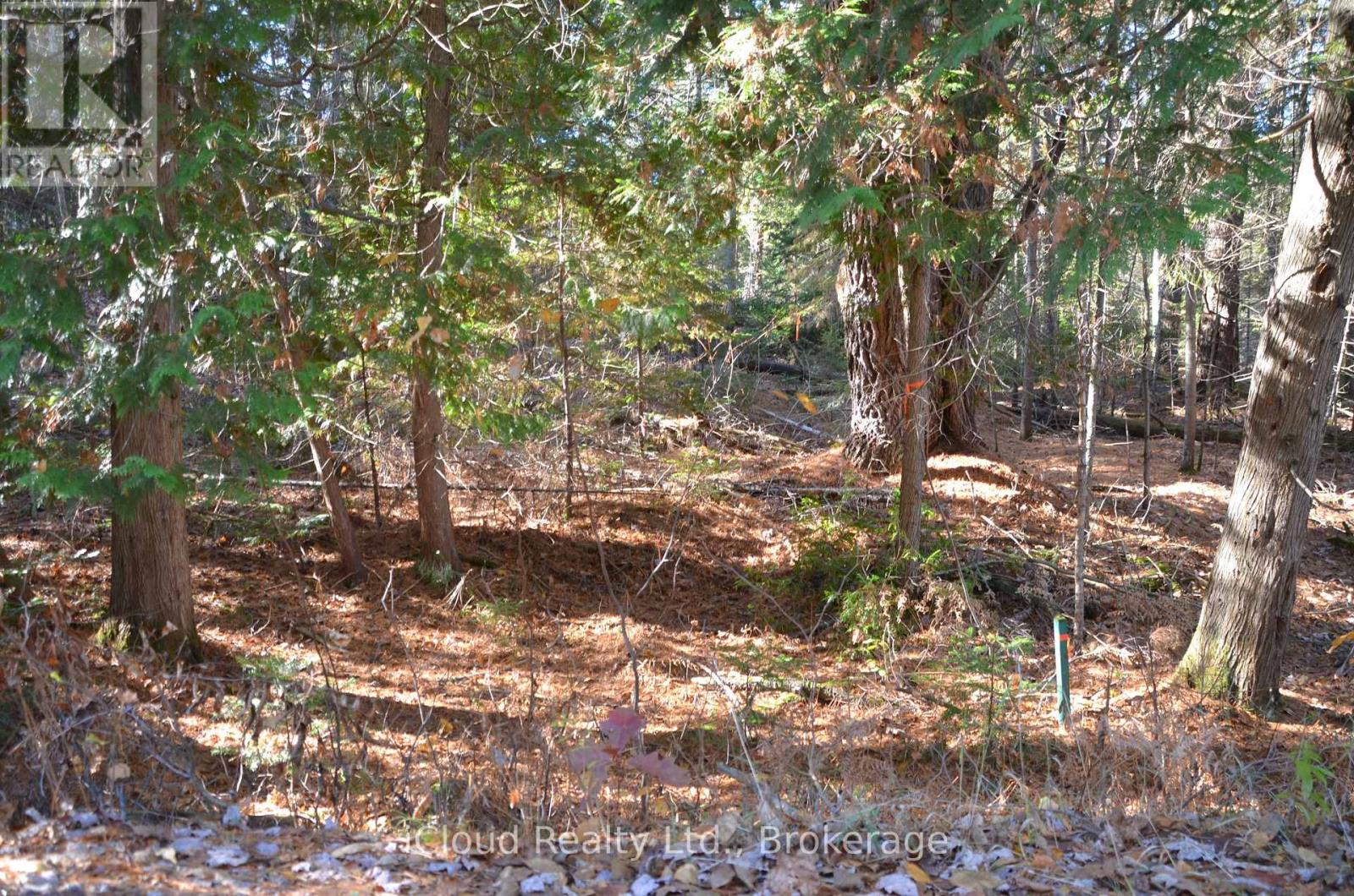 3 And 2 Parker Bay Road, Whitestone, Ontario  P0G 1G0 - Photo 12 - X12913734