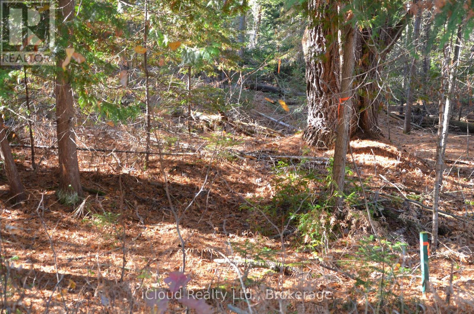 3 And 2 Parker Bay Road, Whitestone, Ontario  P0G 1G0 - Photo 13 - X12913734