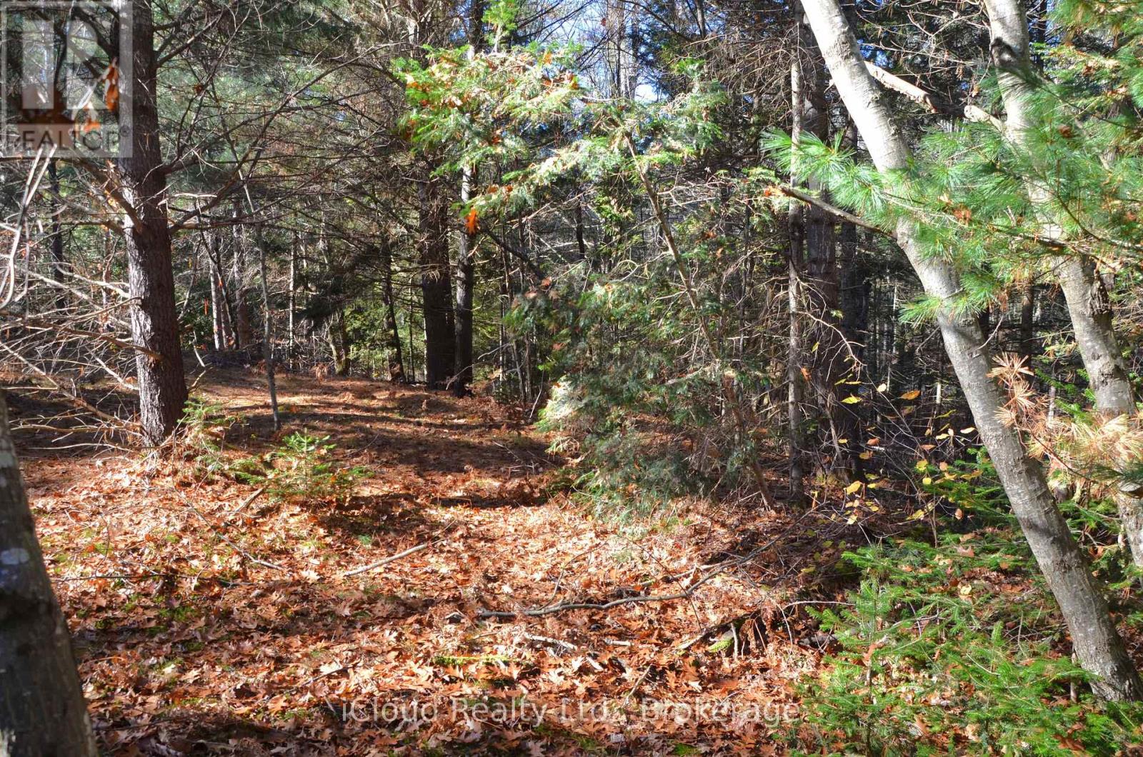 3 And 2 Parker Bay Road, Whitestone, Ontario  P0G 1G0 - Photo 28 - X12913734