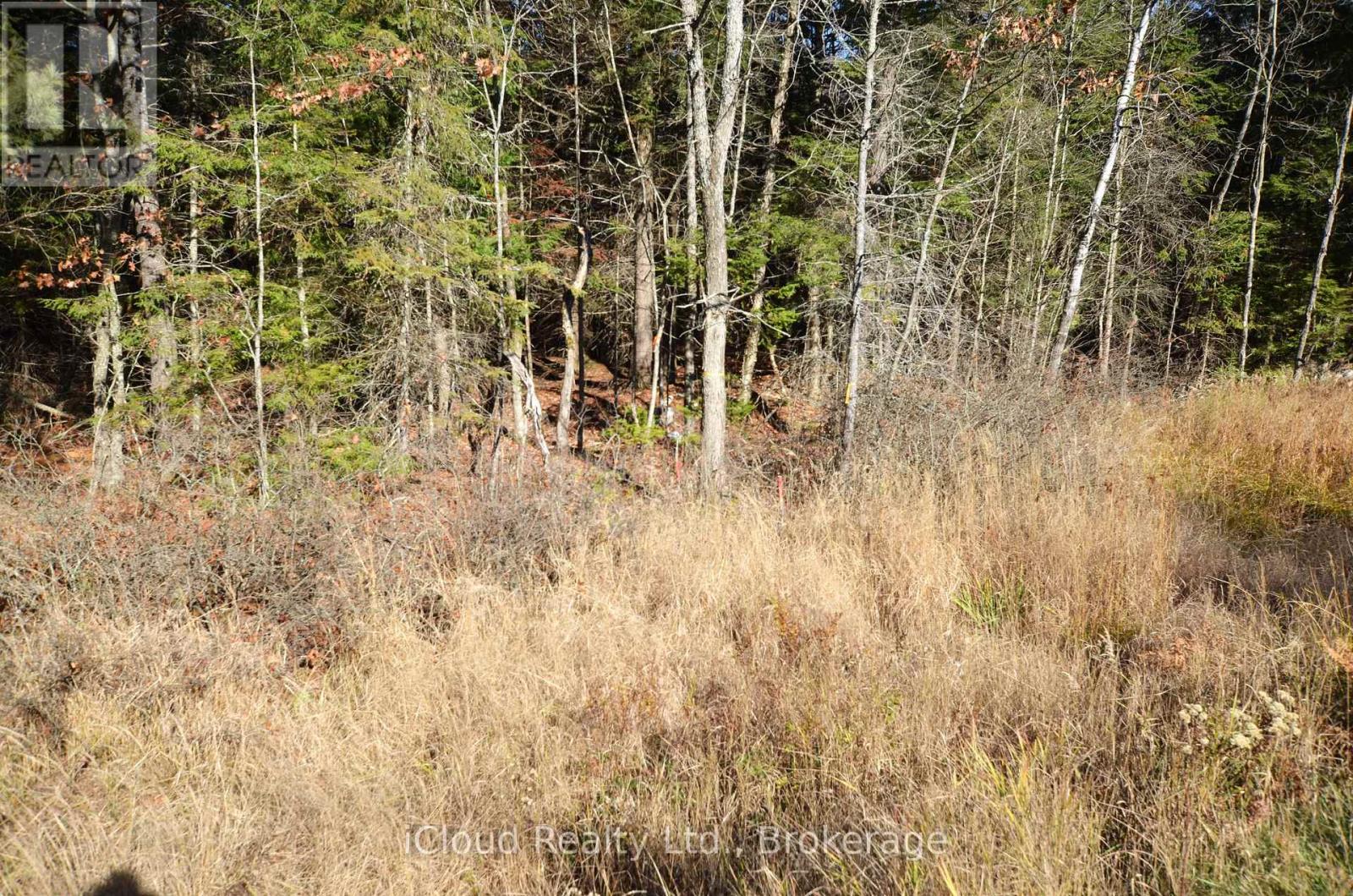 3 And 2 Parker Bay Road, Whitestone, Ontario  P0G 1G0 - Photo 35 - X12913734