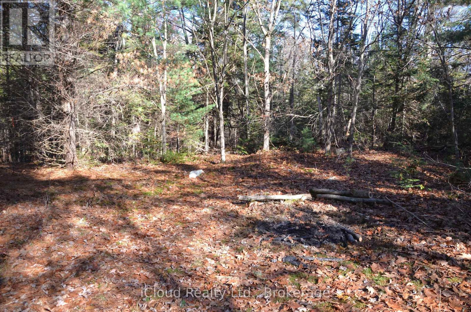 3 And 2 Parker Bay Road, Whitestone, Ontario  P0G 1G0 - Photo 23 - X12913734