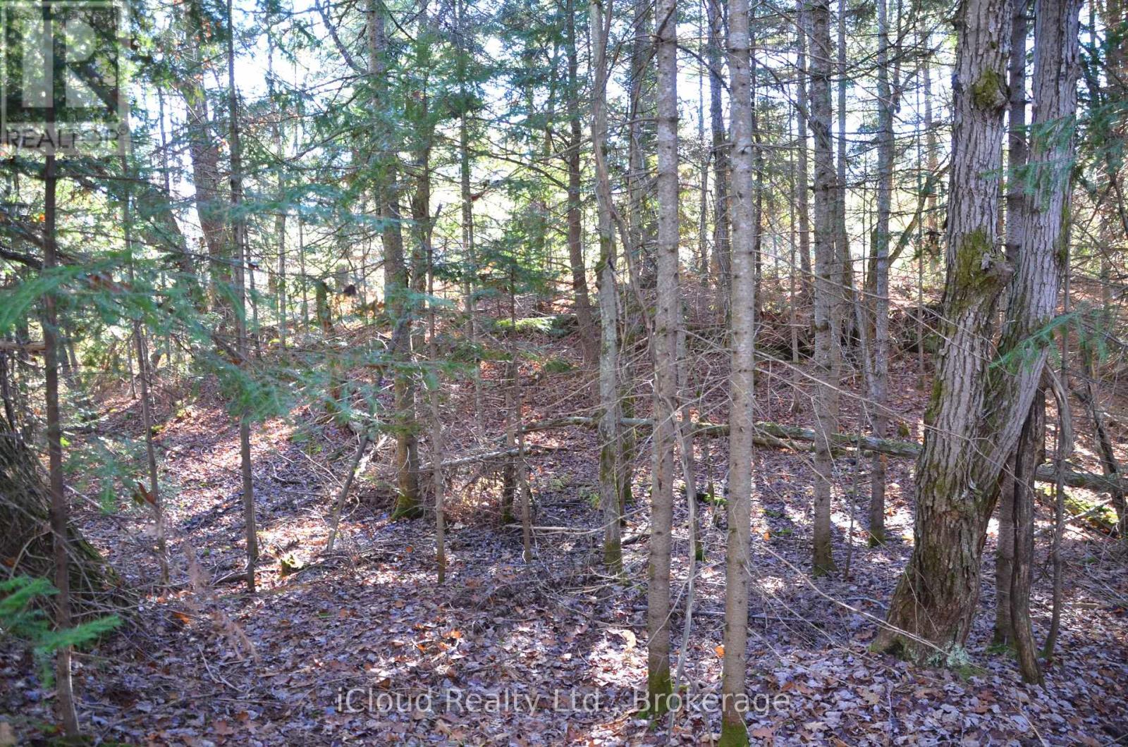 3 And 2 Parker Bay Road, Whitestone, Ontario  P0G 1G0 - Photo 9 - X12913734