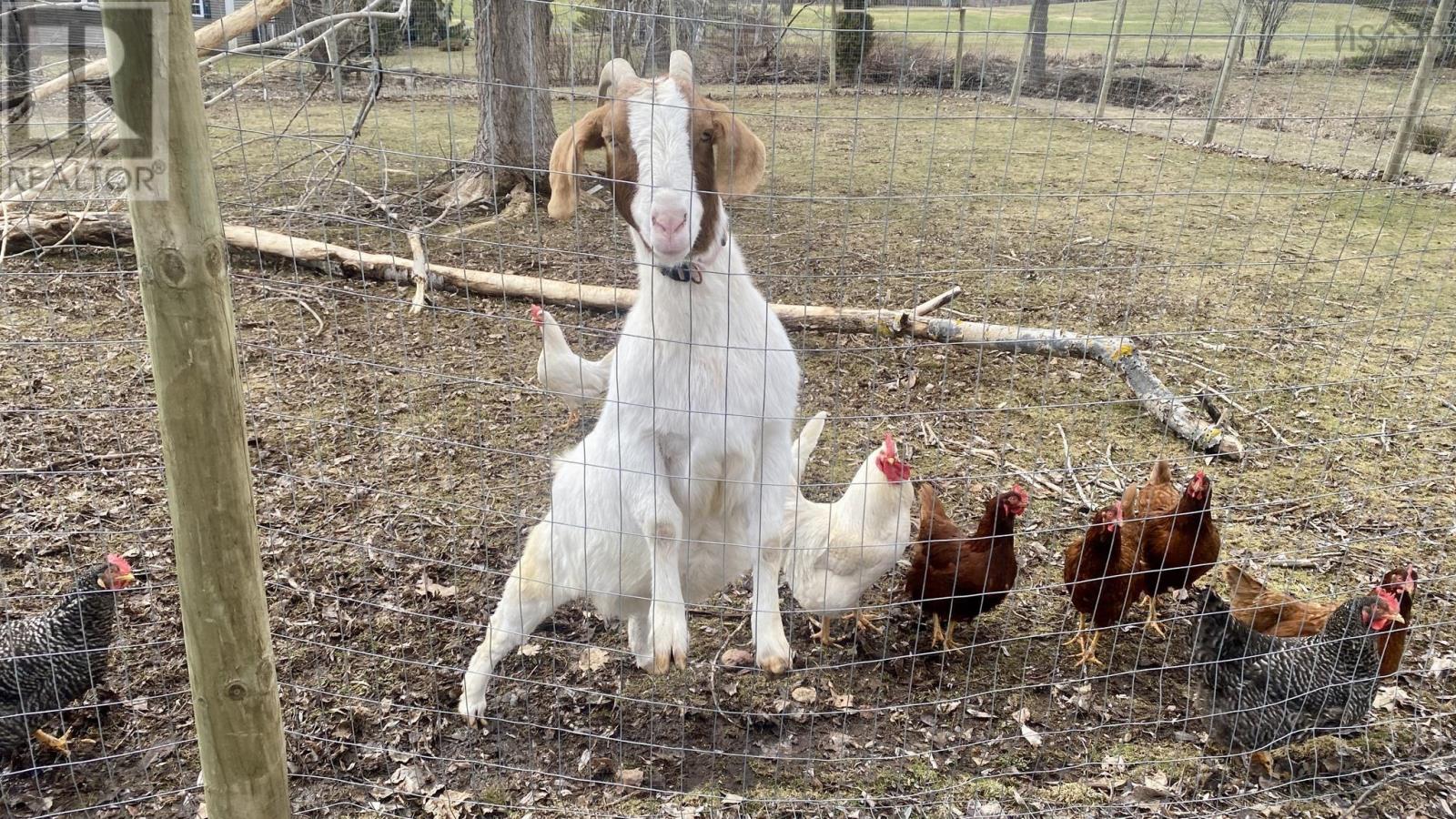 7025 12 Highway, North Alton, Nova Scotia  B4N 3V8 - Photo 45 - 202605087