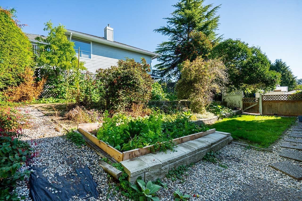 16143 9 Avenue, Surrey, British Columbia  V4A 8R4 - Photo 38 - R3102930