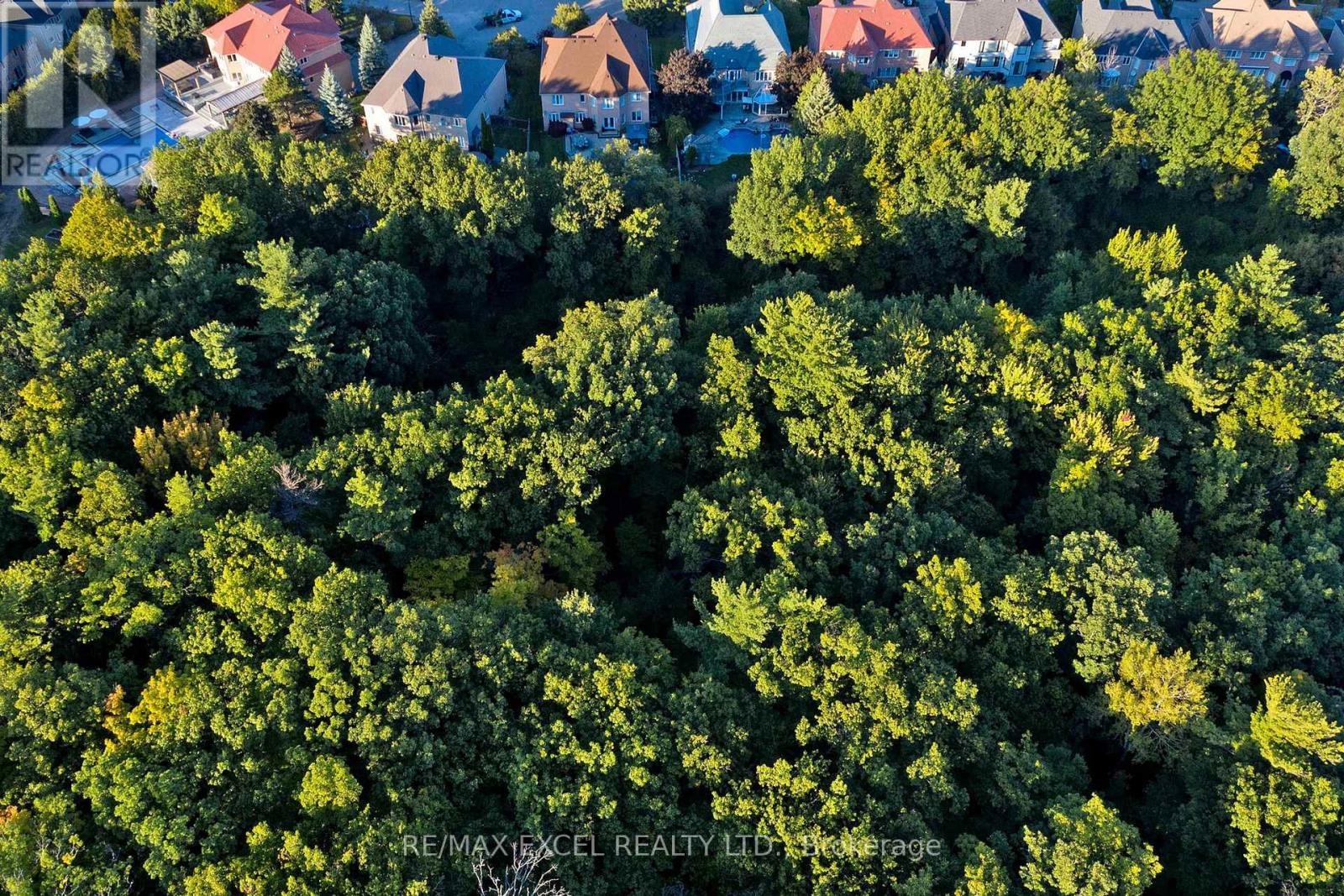 5368 Vail Court, Mississauga, Ontario  L5M 6G9 - Photo 50 - W12917462