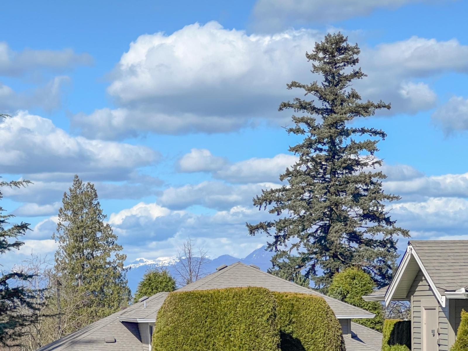 16 2672 151 Street, Surrey, British Columbia  V4P 1A1 - Photo 2 - R3102666