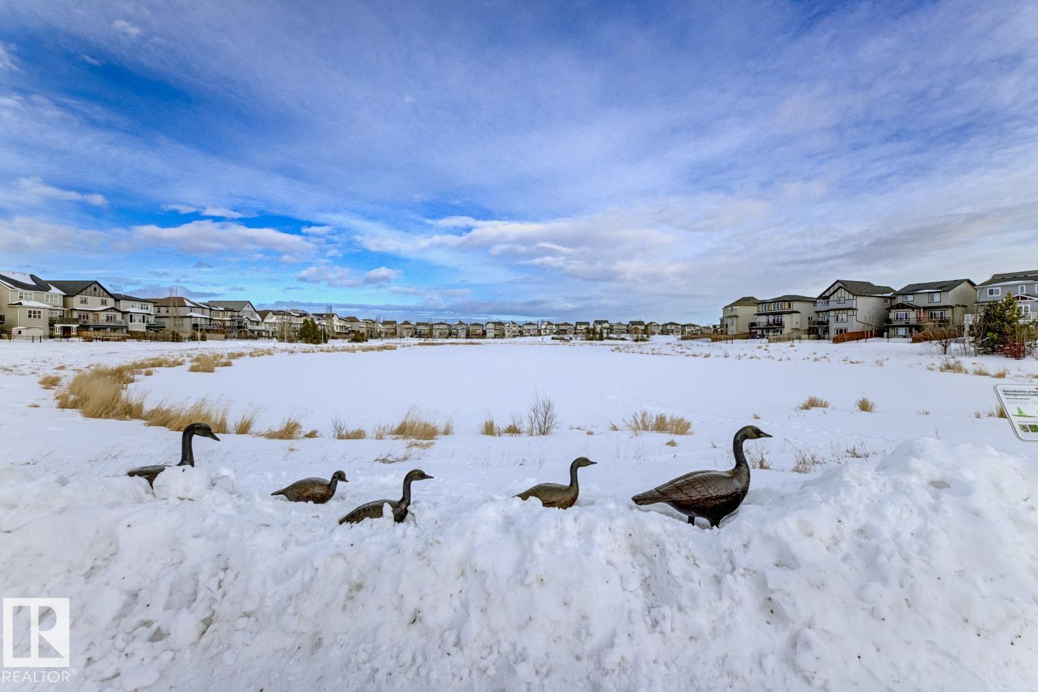 1251 Secord Ld Nw, Edmonton, Alberta  T5T 4N4 - Photo 51 - E4478899