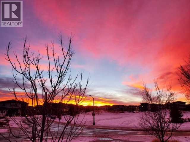 7 Arnica View, Rural Rocky View County, Alberta  T3Z 0E1 - Photo 50 - A2294433