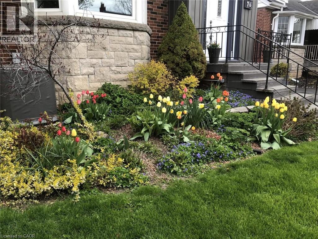 76 Knyvet Avenue, Hamilton, Ontario  L9A 3J5 - Photo 3 - 40814438