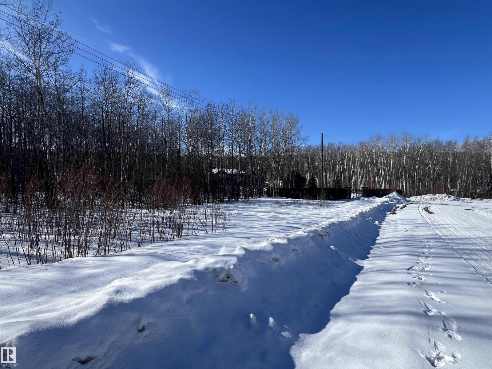 28 62331 Rr 411a, Rural Bonnyville M.d., Alberta  T9M 1N1 - Photo 10 - E4478911