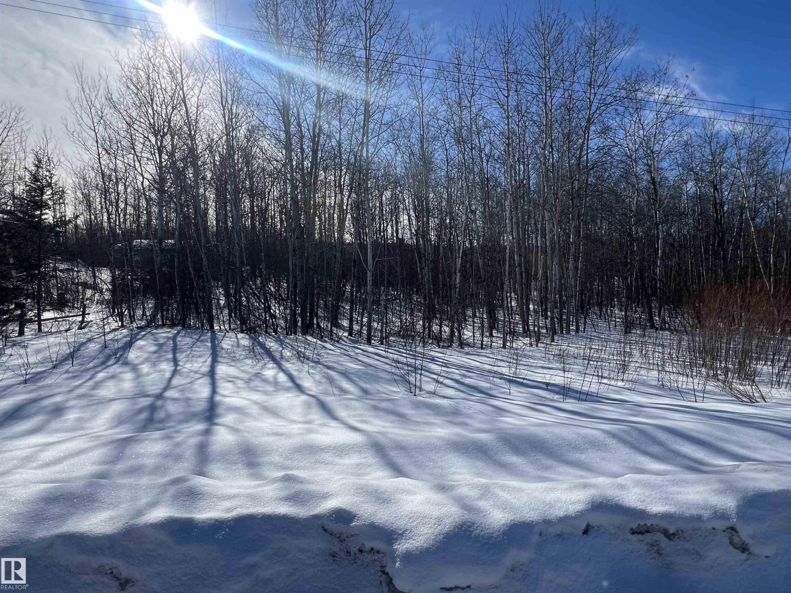 28 62331 Rr 411a, Rural Bonnyville M.d., Alberta  T9M 1N1 - Photo 11 - E4478911