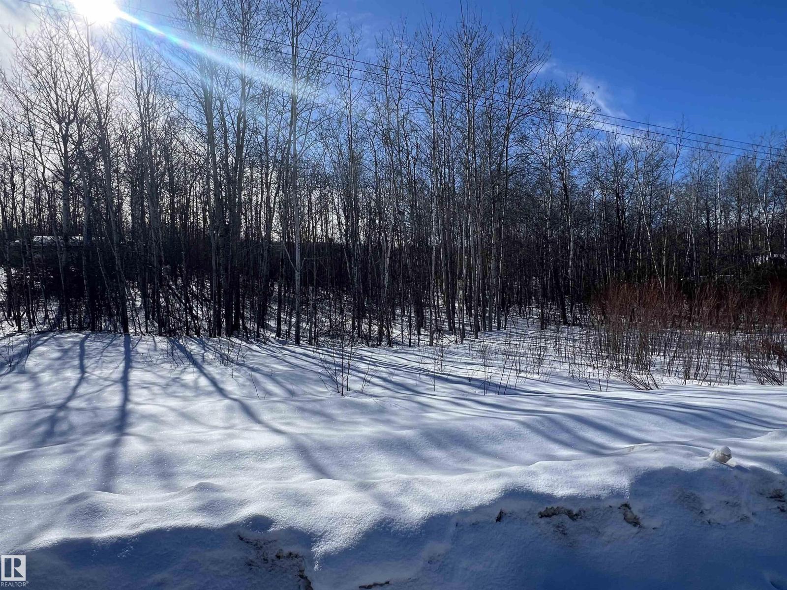 28 62331 Rr 411a, Rural Bonnyville M.d., Alberta  T9M 1N1 - Photo 12 - E4478911