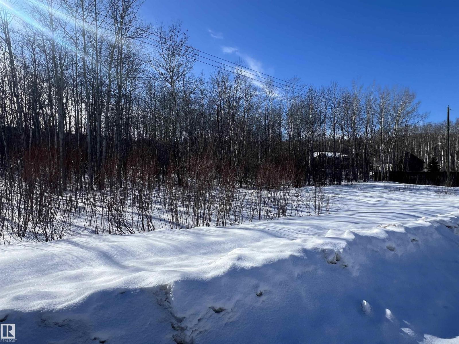 28 62331 Rr 411a, Rural Bonnyville M.d., Alberta  T9M 1N1 - Photo 13 - E4478911