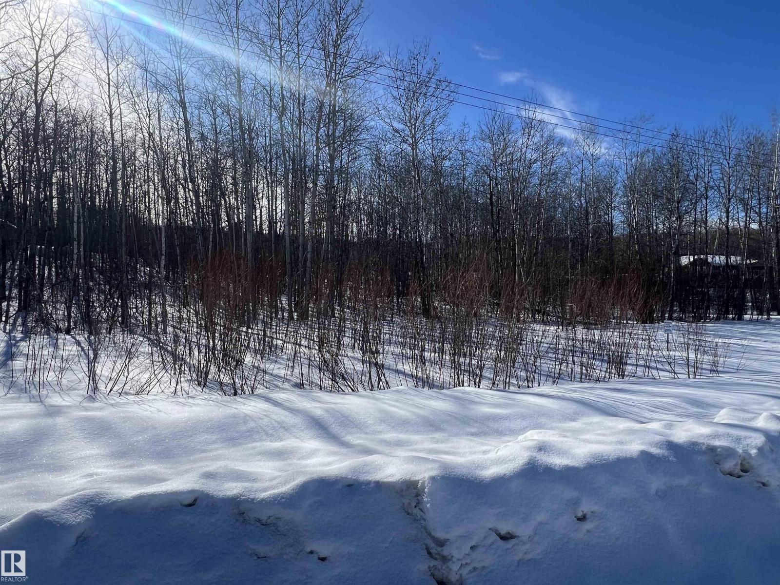 28 62331 Rr 411a, Rural Bonnyville M.d., Alberta  T9M 1N1 - Photo 14 - E4478911