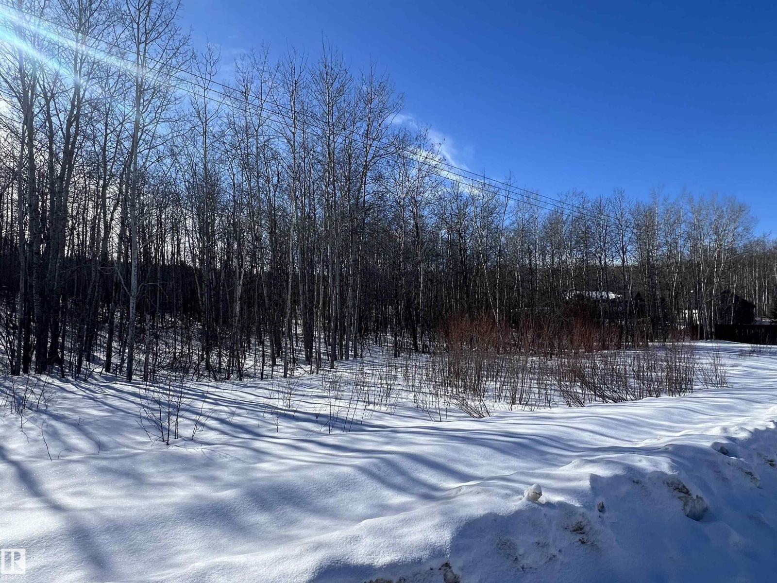 28 62331 Rr 411a, Rural Bonnyville M.d., Alberta  T9M 1N1 - Photo 15 - E4478911