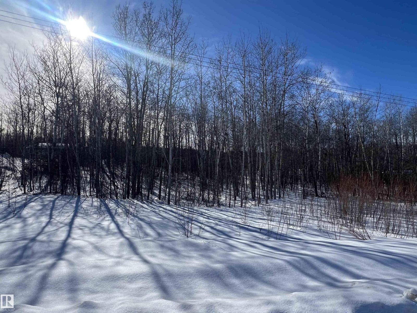 28 62331 Rr 411a, Rural Bonnyville M.d., Alberta  T9M 1N1 - Photo 16 - E4478911