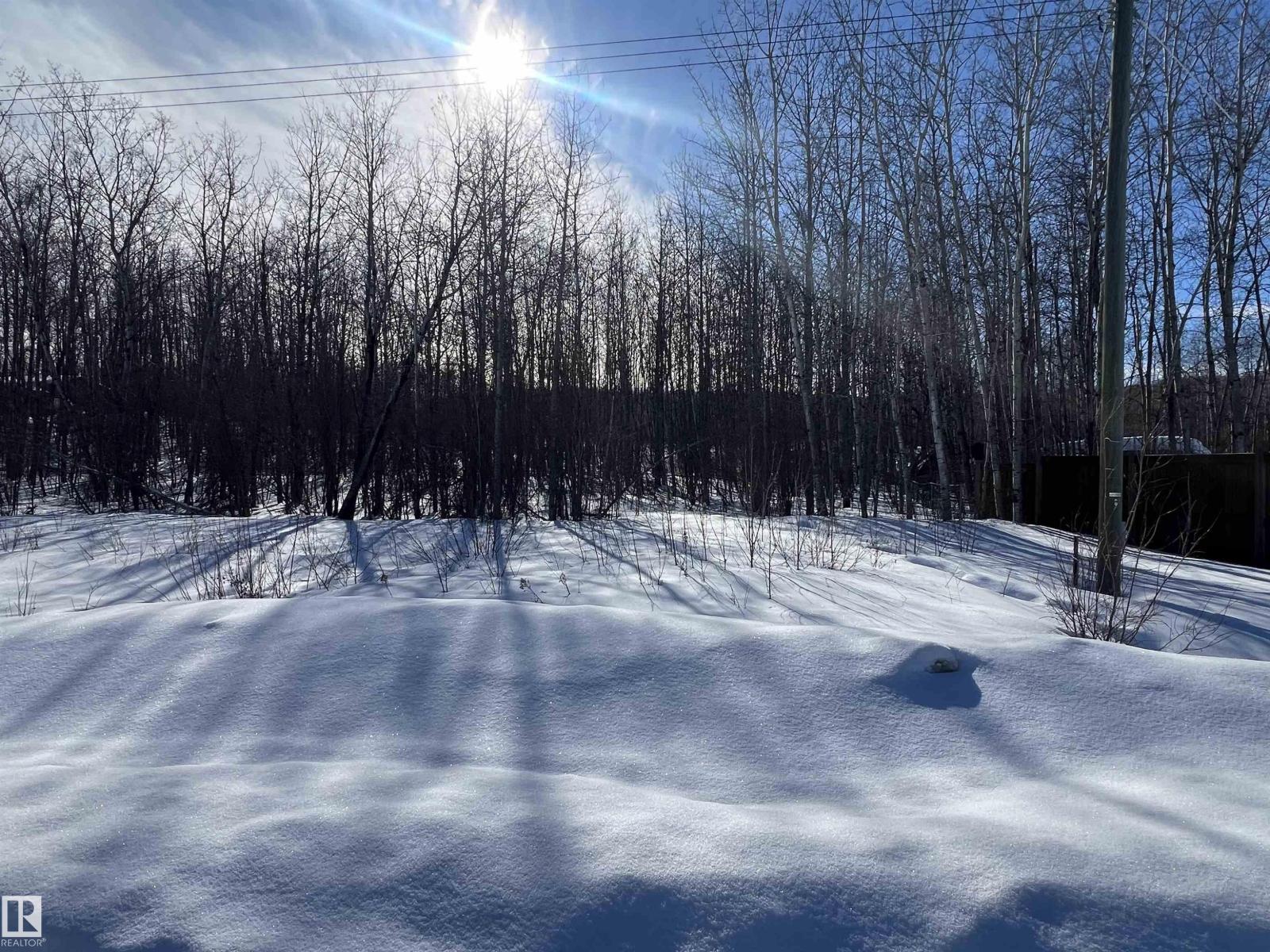 28 62331 Rr 411a, Rural Bonnyville M.d., Alberta  T9M 1N1 - Photo 5 - E4478911