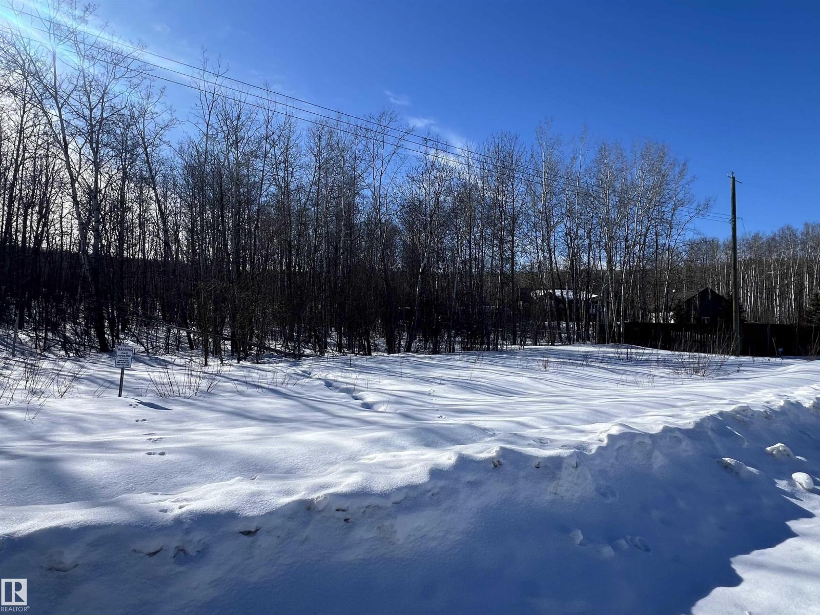 28 62331 Rr 411a, Rural Bonnyville M.d., Alberta  T9M 1N1 - Photo 7 - E4478911