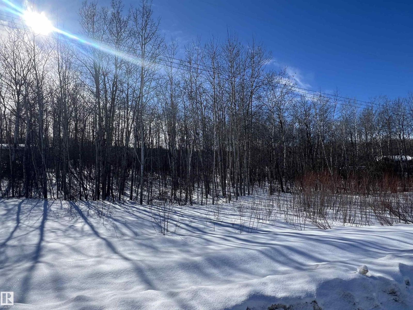 28 62331 Rr 411a, Rural Bonnyville M.d., Alberta  T9M 1N1 - Photo 8 - E4478911