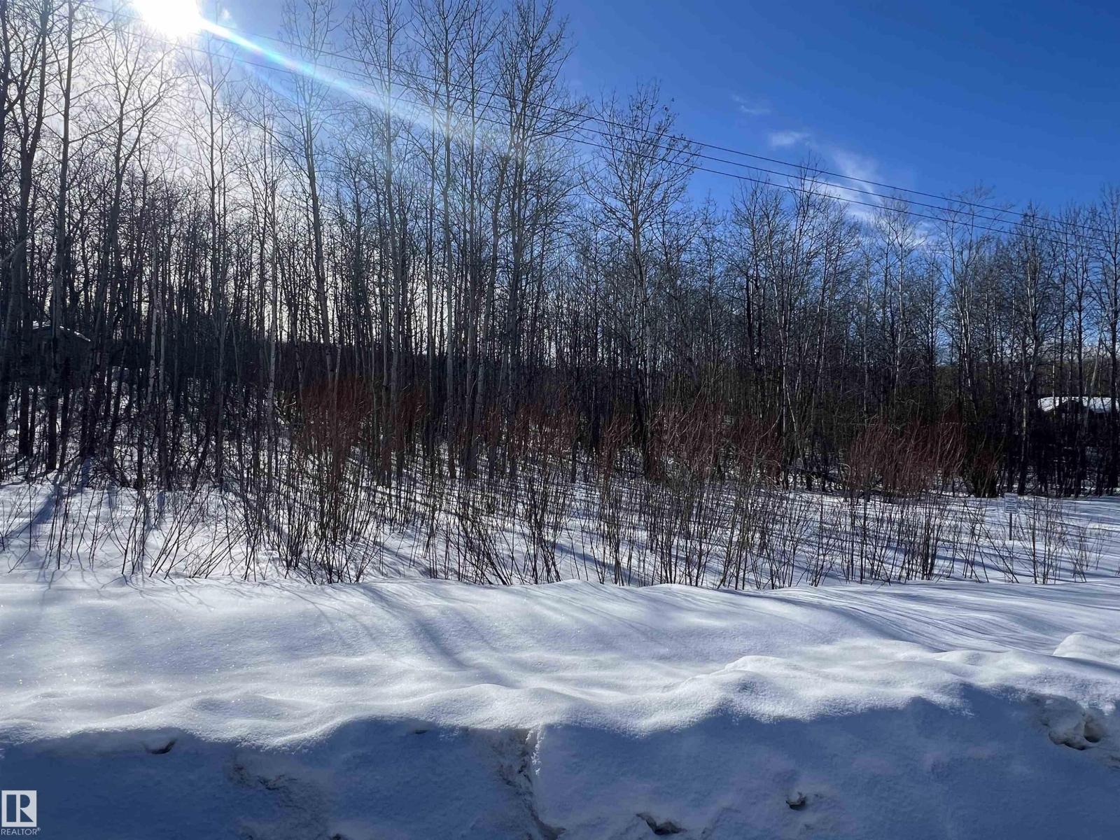 28 62331 Rr 411a, Rural Bonnyville M.d., Alberta  T9M 1N1 - Photo 9 - E4478911