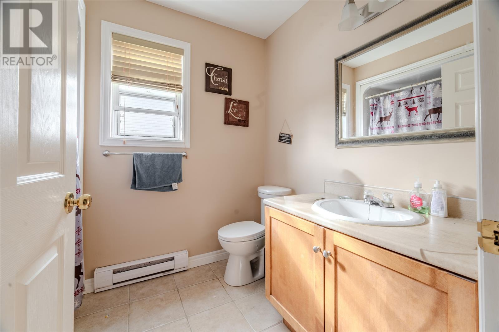 39 Goldfinch Drive, Paradise, Newfoundland & Labrador  A1L 3M2 - Photo 22 - 1295429