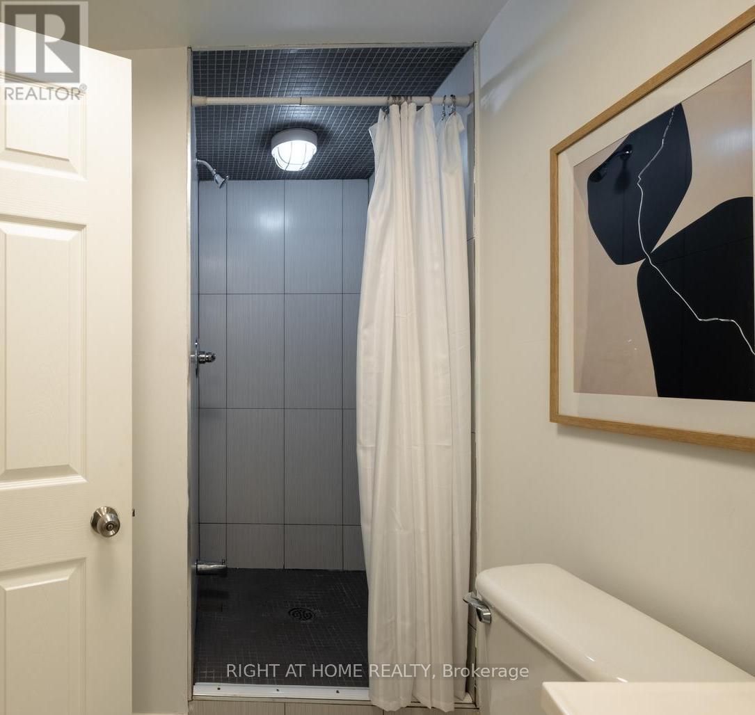 49 Osler Street, Toronto, Ontario  M6P 4A1 - Photo 23 - W12917670