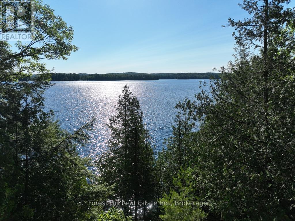 10689 Kawagama Lake Wao, Algonquin Highlands, Ontario  P0A 1E0 - Photo 20 - X12917798