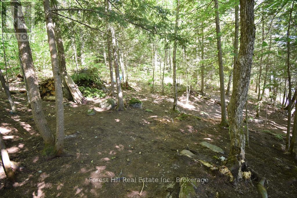 10689 Kawagama Lake Wao, Algonquin Highlands, Ontario  P0A 1E0 - Photo 25 - X12917798