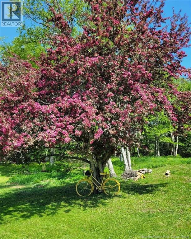 55 Hayes Street, Saint John, New Brunswick  E2M 5K2 - Photo 39 - NB134795