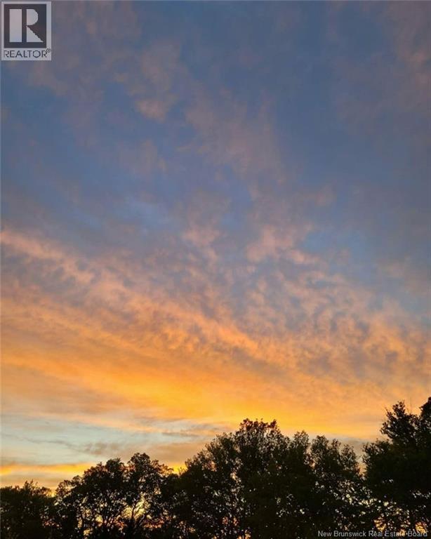 55 Hayes Street, Saint John, New Brunswick  E2M 5K2 - Photo 41 - NB134795