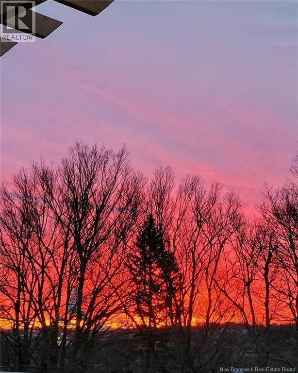 55 Hayes Street, Saint John, New Brunswick  E2M 5K2 - Photo 42 - NB134795