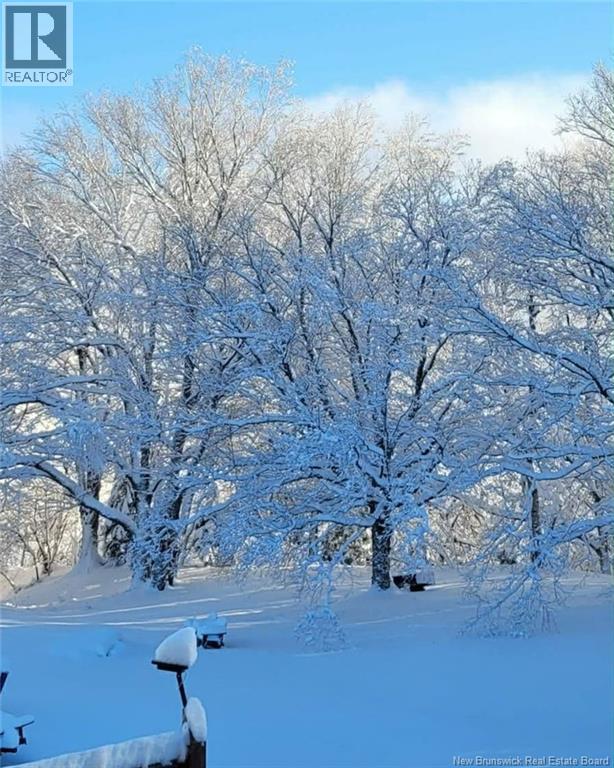 55 Hayes Street, Saint John, New Brunswick  E2M 5K2 - Photo 44 - NB134795