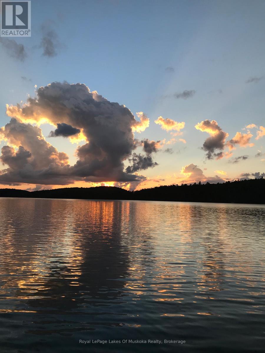 16368 Kawagama-Dennison Island, Dysart Et Al, Ontario  K0M 1S0 - Photo 39 - X12917926