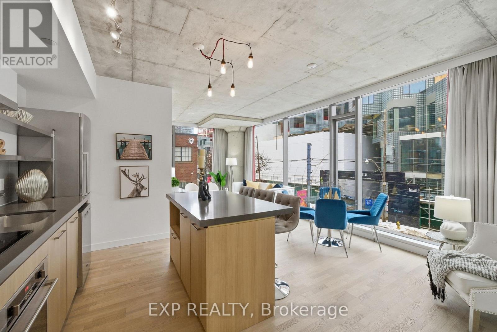 213 - 560 King Street W, Toronto, Ontario  M5V 0L6 - Photo 6 - C12917806