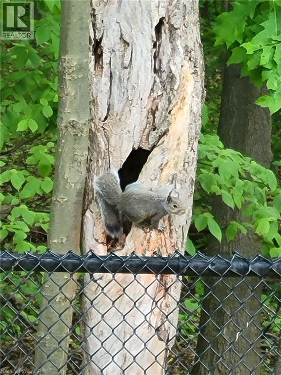 5530 Glen Erin Drive Unit# 28, Mississauga, Ontario  L5M 6E8 - Photo 20 - 40811539