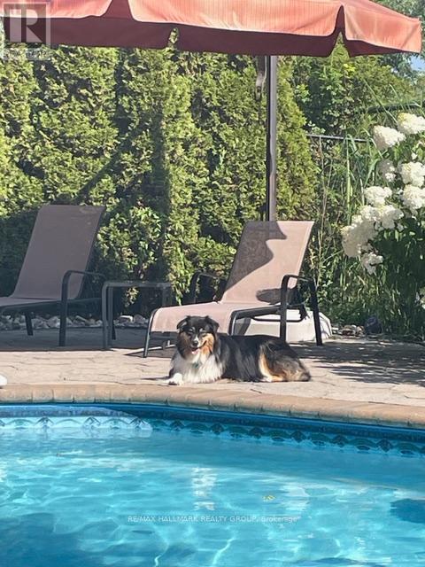 453 Keith Crescent, Ottawa, Ontario  K1W 0A5 - Photo 44 - X12912920