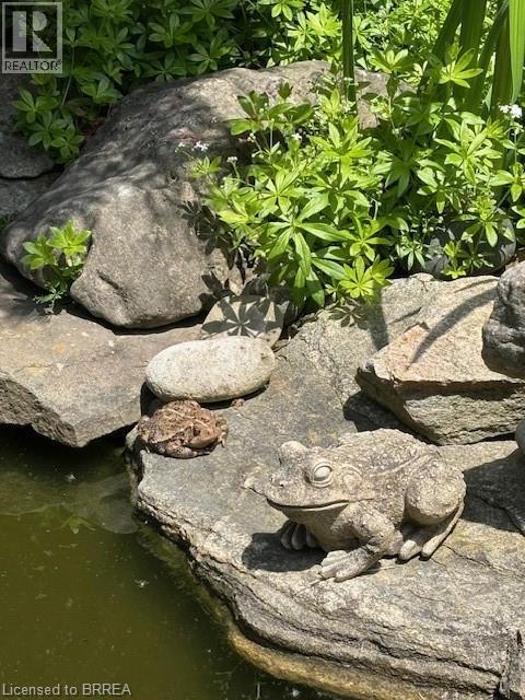 9 Summerhayes Crescent, Brantford, Ontario  N3R 5H9 - Photo 35 - 40810330