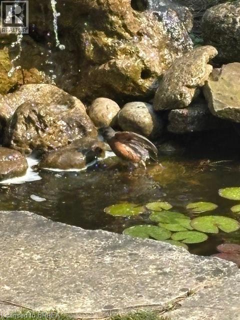 9 Summerhayes Crescent, Brantford, Ontario  N3R 5H9 - Photo 34 - 40810330