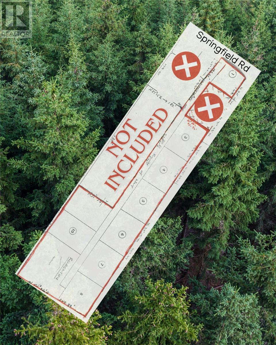 149 Springfield Road, South River, Newfoundland & Labrador  A0A 3W0 - Photo 2 - 1295519