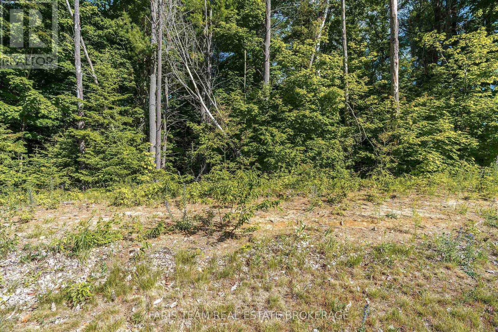 37 Marni Lane, Springwater, Ontario  L0L 2K0 - Photo 8 - S12918106