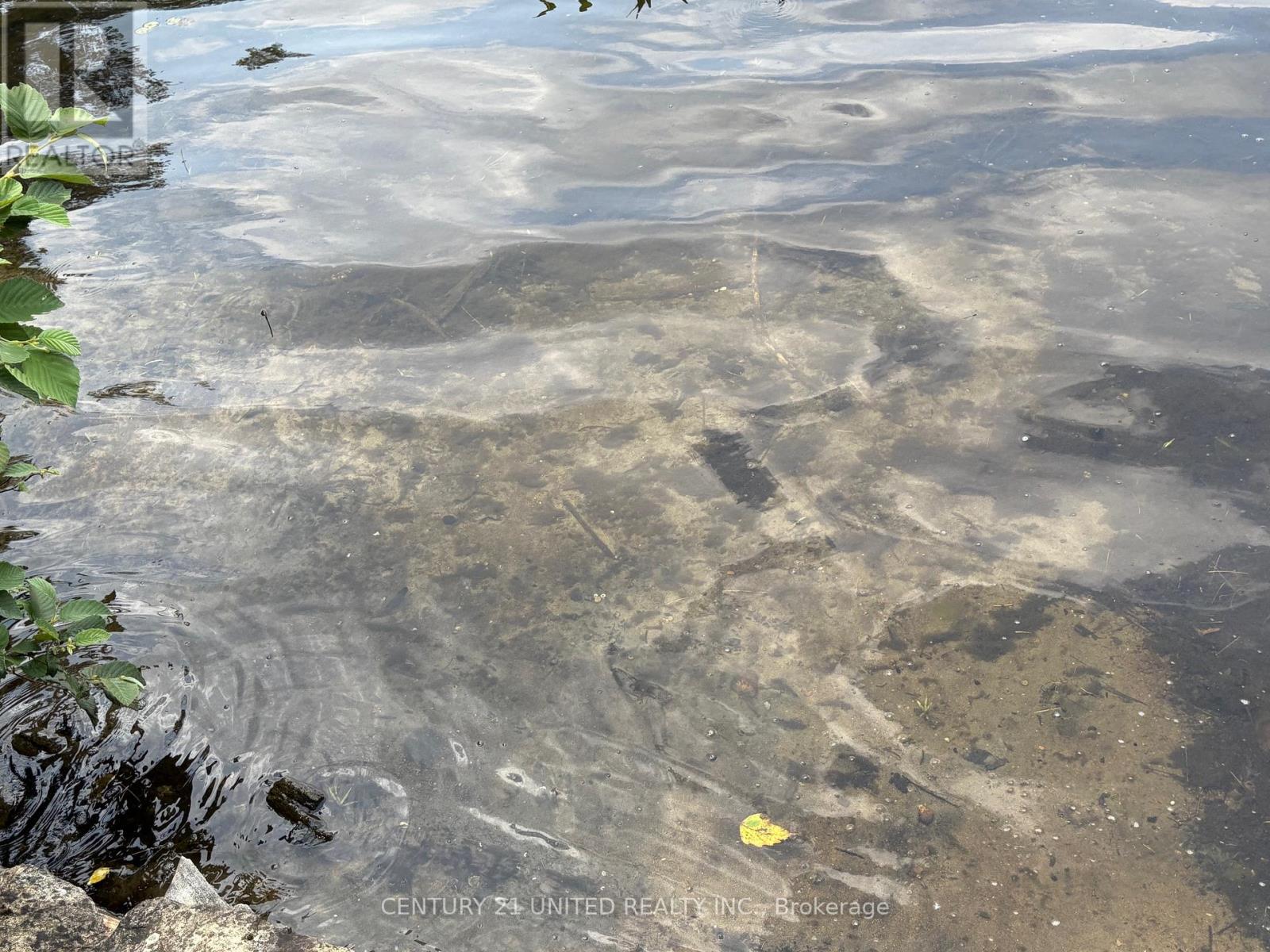 16 Fire Route 311, Trent Lakes, Ontario  K0L 1J0 - Photo 15 - X12918448