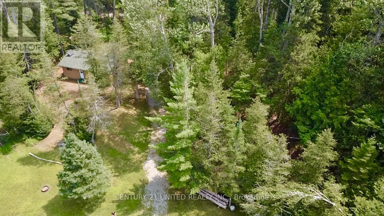 16 Fire Route 311, Trent Lakes, Ontario  K0L 1J0 - Photo 18 - X12918448